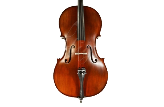 Violoncel 4/4 Gliga Violoncel 4/4 Gems 1 (student avansat) antic special