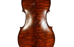 Violoncel 4/4 Gliga Violoncel 4/4 Gems 1 (student avansat) antic special