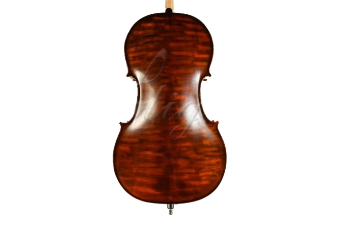 Violoncel 4/4 Gliga Violoncel 4/4 Gems 1 (student avansat) antic special