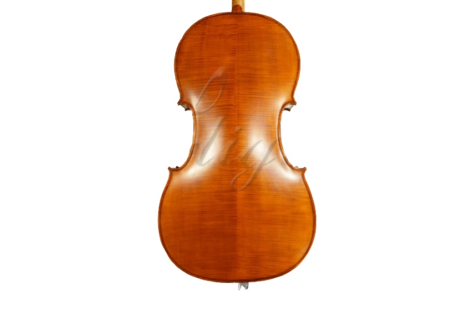 Violoncel 4/4 Gliga Violoncel 4/4 Gems 1 (student avansat)