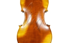 Violoncel 4/4 Gliga Violoncel 4/4 Genova 3 ant (student avansat)