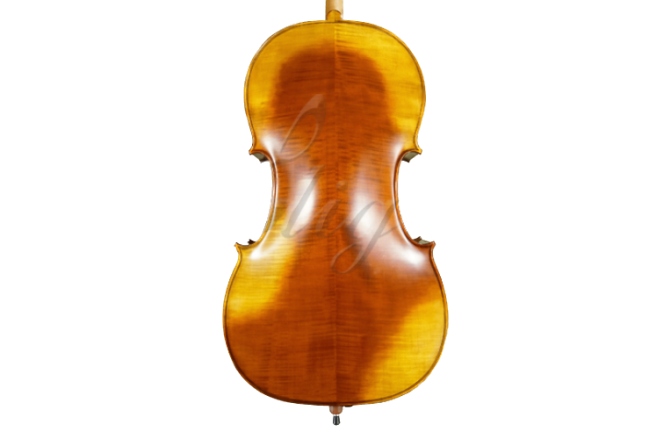 Violoncel 4/4 Gliga Violoncel 4/4 Genova 3 ant (student avansat)