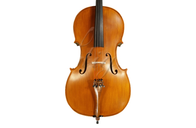 Violoncel 4/4 Gliga Violoncel 4/4 Gloria 1 (student)