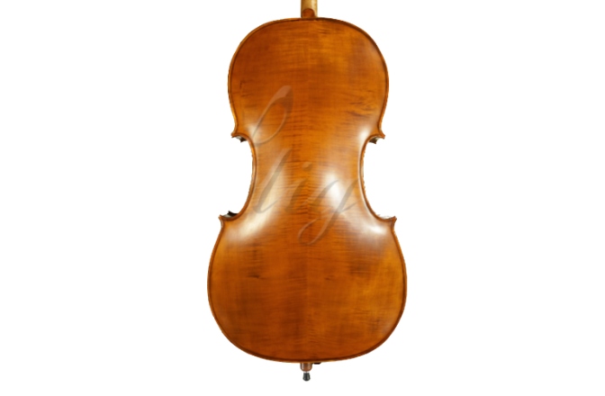 Violoncel 4/4 Gliga Violoncel 4/4 Gloria 1 (student)