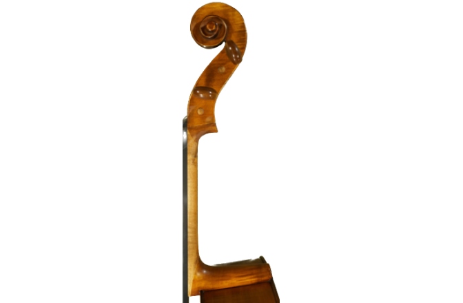 Violoncel 4/4 Gliga Violoncel 4/4 Gloria 1 (student)