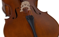 Violoncel Gewa Germania 4/4 Model Berlin antic