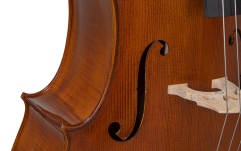Violoncel Gewa Germania 4/4 Model Berlin antic