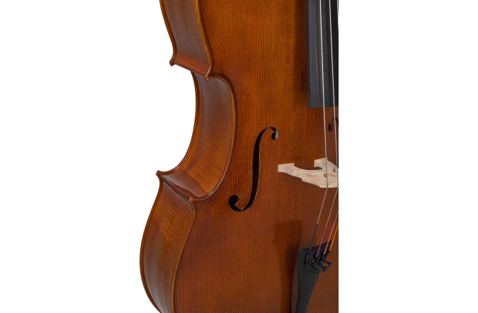 Violoncel Gewa Germania 4/4 Model Berlin antic