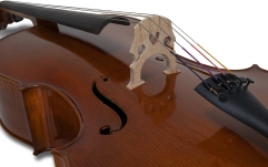Violoncel Gewa Germania 4/4 Model Berlin antic