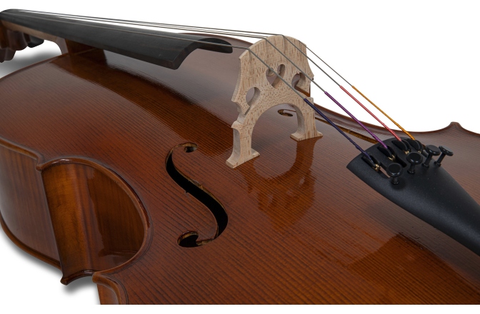 Violoncel Gewa Germania 4/4 Model Berlin antic