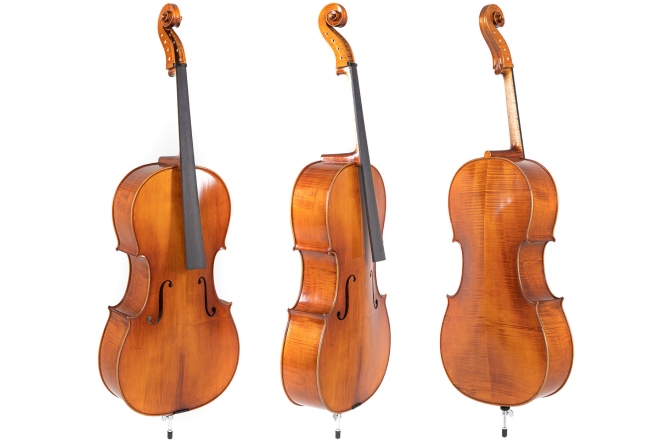 Violoncel Gewa Germania 4/4 Model Berlin