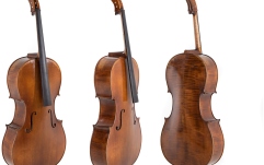 Violoncel  Gewa Germania 4/4 Model Prag antic