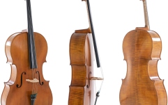 Violoncel Gewa Violoncel Concert Meister Rubner 4/4