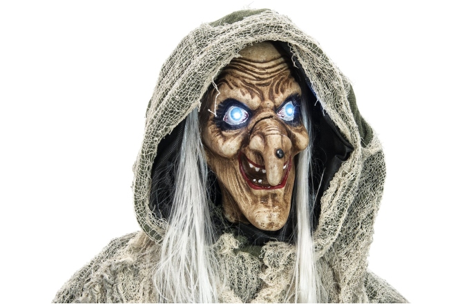 Vrăjitoare  Europalms Halloween Witch, green, 145x70x66cm