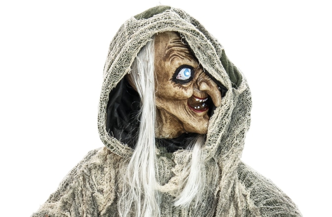 Vrăjitoare  Europalms Halloween Witch, green, 145x70x66cm
