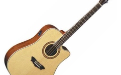  Washburn WD32SCE