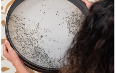 Wave Drum  Meinl Sonic Energy 18'' Woven & Synthetic Head Wave Drum