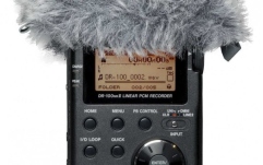 Windscreen Tascam WS-11