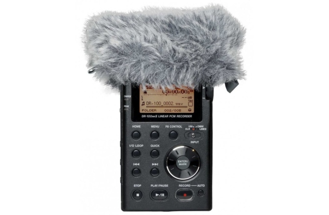 Windscreen Tascam WS-11