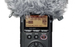 Windscreen Tascam WS-11