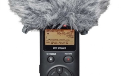 Windscreen Tascam WS-11
