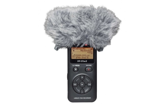 Windscreen Tascam WS-11