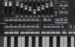 Workstation Korg PA3X-61
