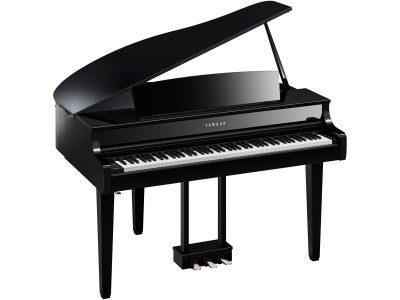CLP-865 GP