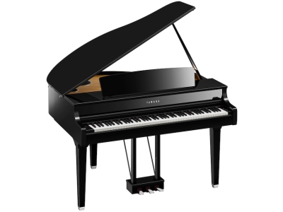 CLP-895GP