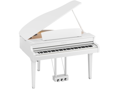 CLP-895GP WH