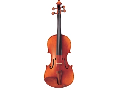 V 20 G Violin 4/4