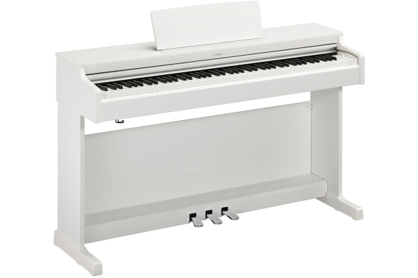 YDP-165 Arius White YDP-165 Arius White