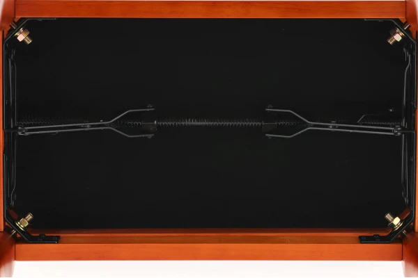 Gewa Deluxe Classic Cherry Matt — 4