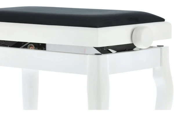 Gewa Deluxe Classic White Matt — 4