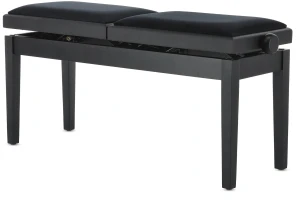 Gewa Deluxe Double Black Matt