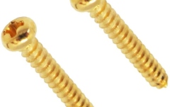 Şurub Fixator/retainer corzi Floyd Rose  FRSRSSGP - String Retainer Screws (2 pcs) - Satin Gold