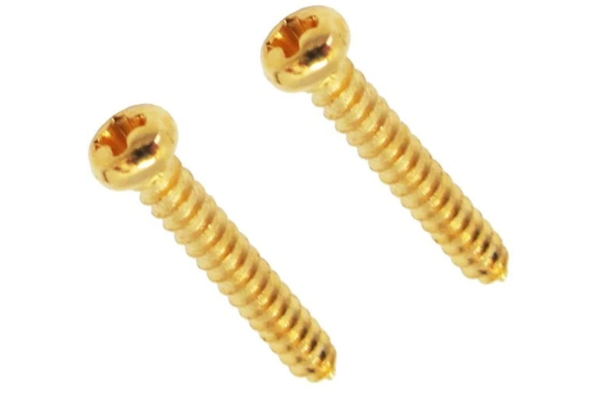 Şurub Fixator/retainer corzi Floyd Rose  FRSRSSGP - String Retainer Screws (2 pcs) - Satin Gold