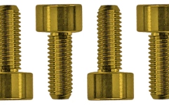 Şuruburi montare Floyd Rose Floyd Rose  FROSMSGDP - Color Stainless Steel Saddle Mounting Screws (6 pcs), Gold