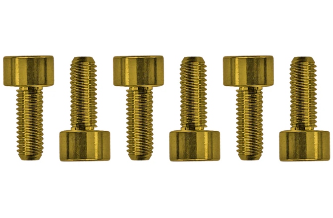 Şuruburi montare Floyd Rose Floyd Rose  FROSMSGDP - Color Stainless Steel Saddle Mounting Screws (6 pcs), Gold