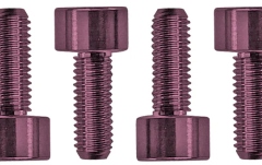 Şuruburi montare Floyd Rose Floyd Rose  FROSMSPKP - Color Stainless Steel Saddle Mounting Screws (6 pcs), Pink