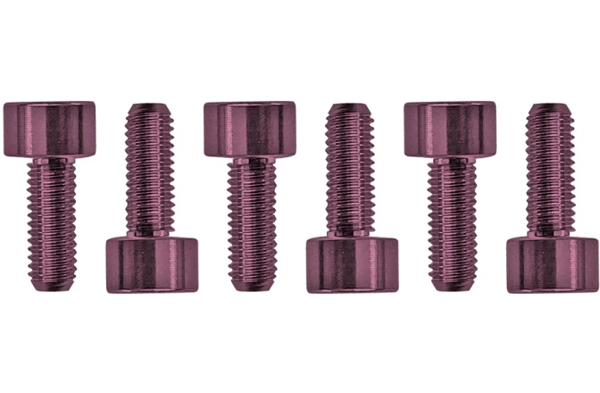 Şuruburi montare Floyd Rose Floyd Rose  FROSMSPKP - Color Stainless Steel Saddle Mounting Screws (6 pcs), Pink