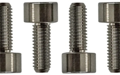 Şuruburi montare Floyd Rose Floyd Rose  FROSMSTIP - Titanium Saddle Mounting Screws (6 pcs)