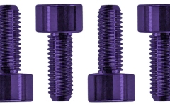 Şuruburi montare saddles Floyd Rose  FROSMSPLP - Color Stainless Steel Saddle Mounting Screws (6 pcs), Purple