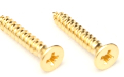 Şuruburi prăguș blocabil Floyd Rose  FRNMSTGP - Nut Top Mounting Screws (2 pcs) - Gold