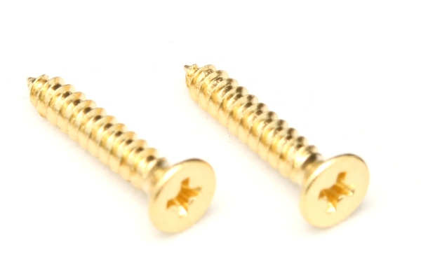 FRNMSTGP - Nut Top Mounting Screws (2 pcs) - Gold FRNMSTGP - Nut Top Mounting Screws (2 pcs) - Gold
