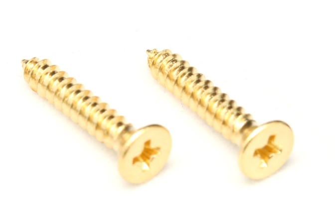 Şuruburi prăguș blocabil Floyd Rose  FRNMSTGP - Nut Top Mounting Screws (2 pcs) - Gold