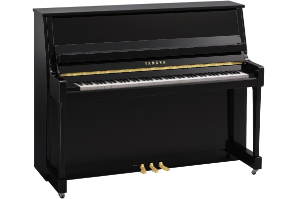 Yamaha B20 PE