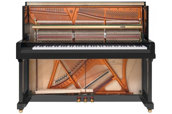 Bösendorfer 120 Silent Edition — 2