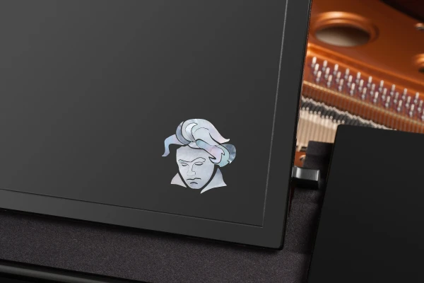 Bösendorfer 214VC Beethoven Black — 3