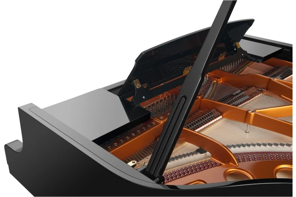 Bösendorfer Grand Piano 200 — 3
